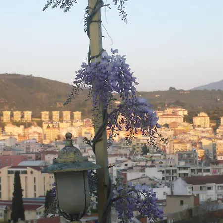 Anzac Golden Bed * Kuşadası
