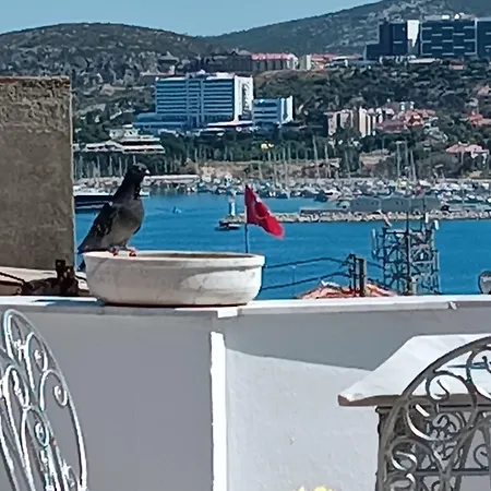 Anzac Golden Bed Πανσιόν Κουσάντασι